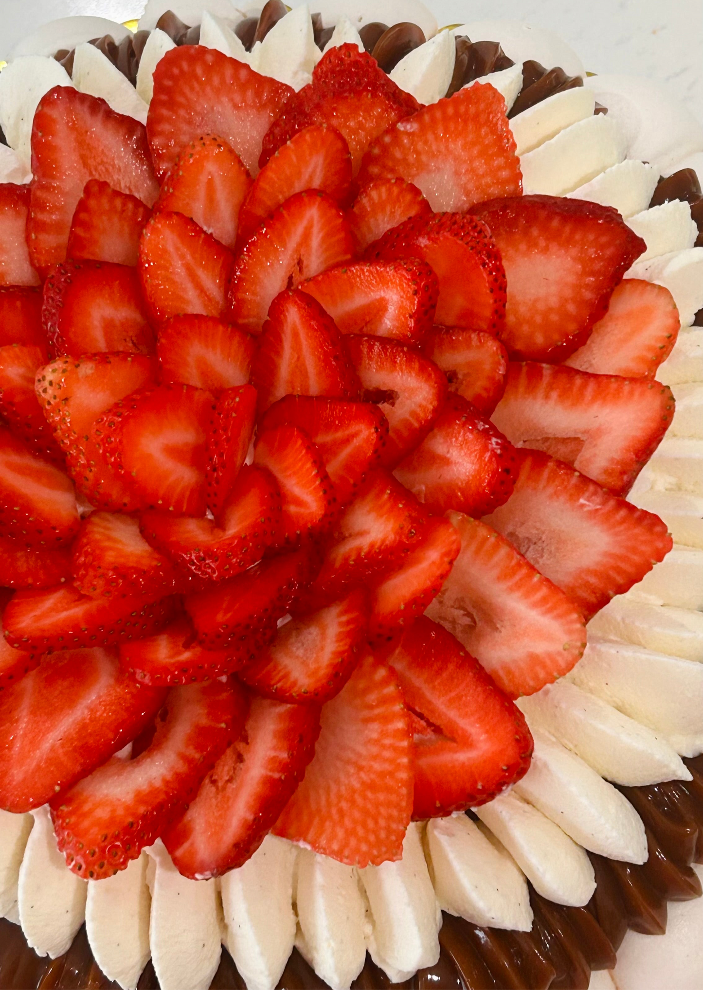 Pavlova