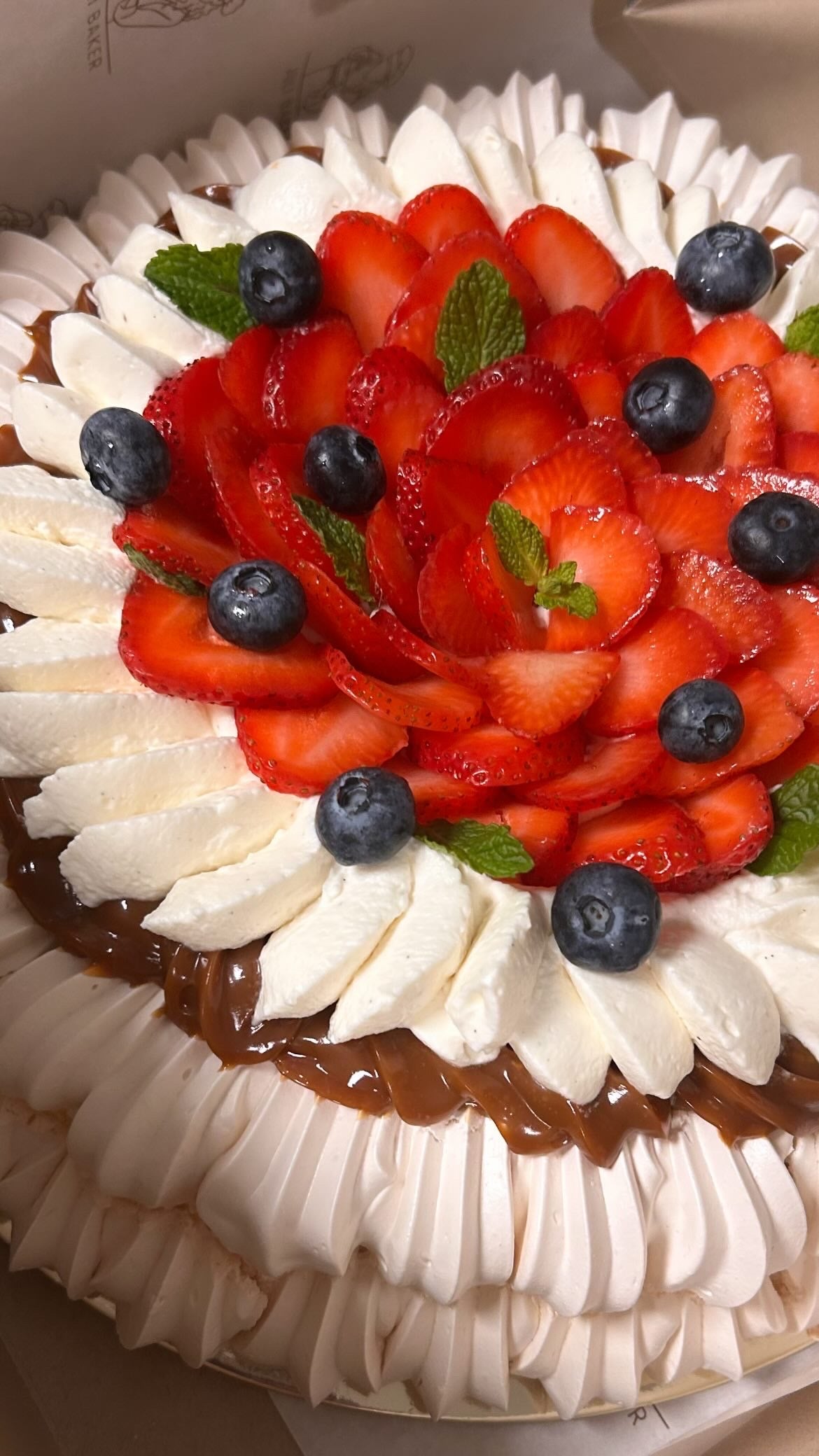 Pavlova